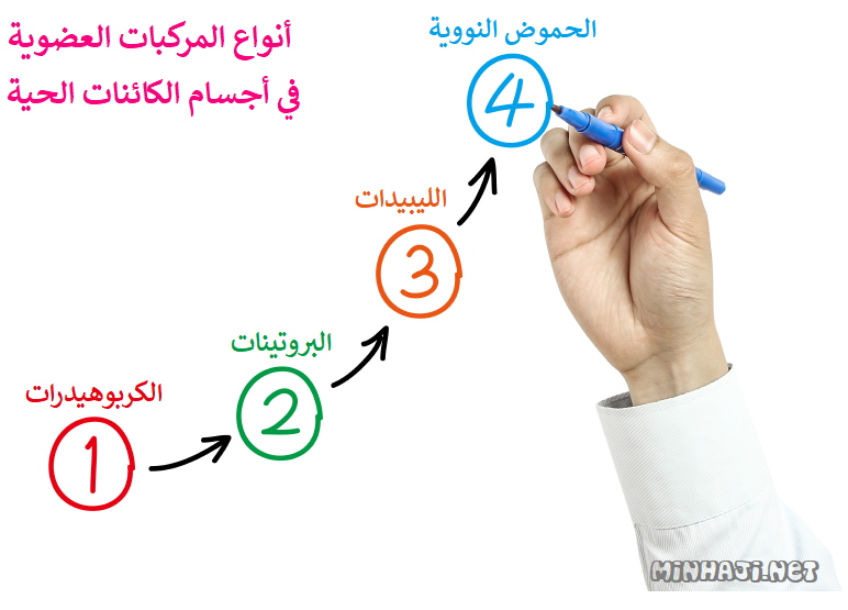 أنواع المركبات العضوية في أجسام الكائنات الحية